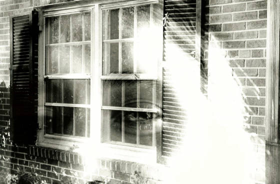 window.jpg