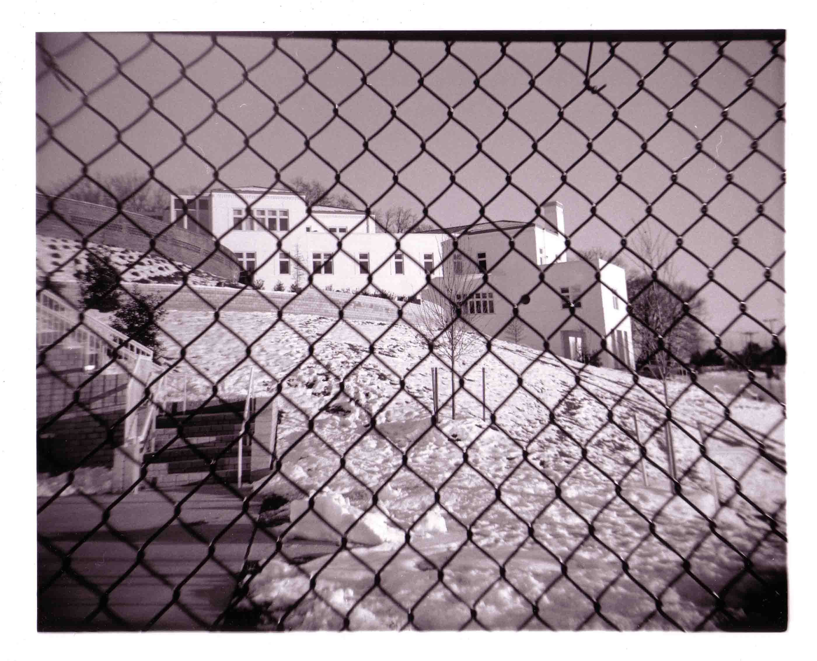 throughfencesnow.jpg